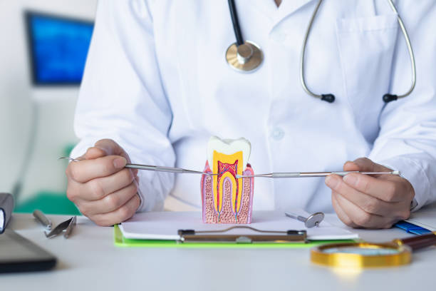Best Urgent Dental Care for Toothache in Bellevue, MI